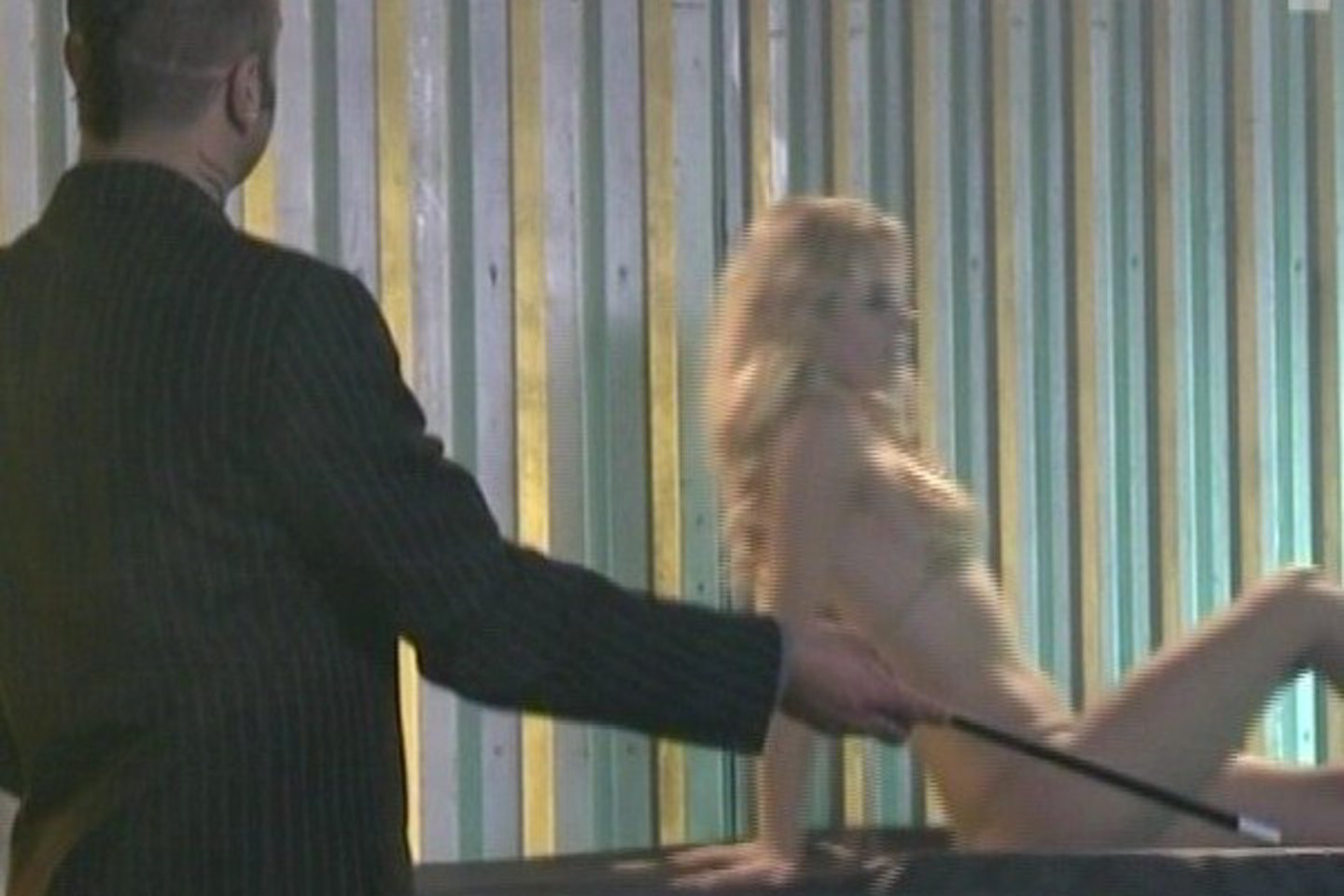 Pornografijos gamintojai sunkmečiu nesiskundžia.