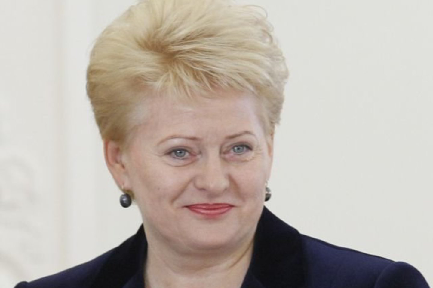 Pasak prezidentės, stiprėjanti Europos regionalizacija, geografinis artumas, bendri politikos iššūkiai skatina gilesnį Šiaurės ir Baltijos šalių bendradarbiavimą visose svarbiausiose srityse.