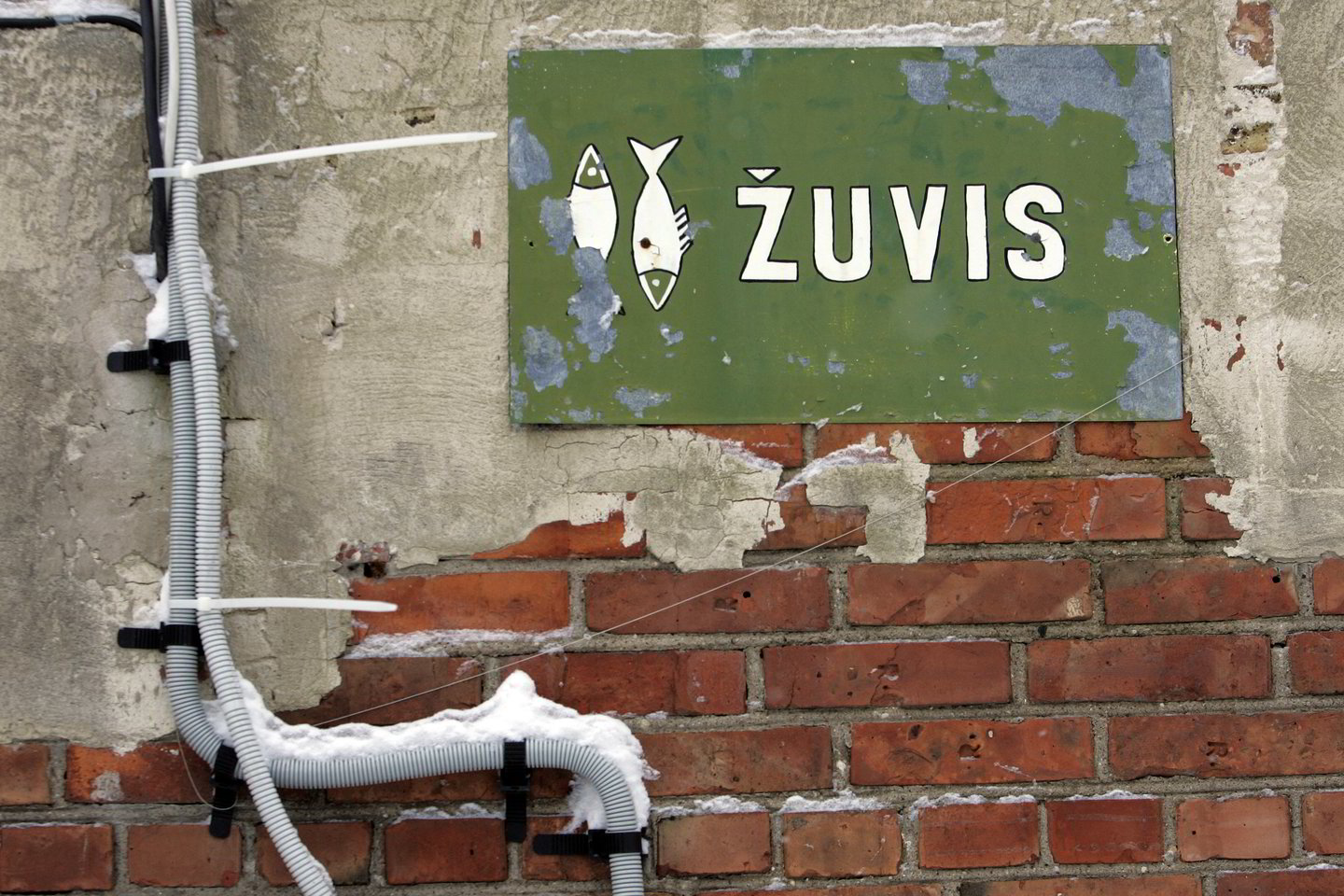 Gruodį naujų pramonės užsakymų Lietuvoje padaugėjo 3,6, o per metus - 50,1 procento.