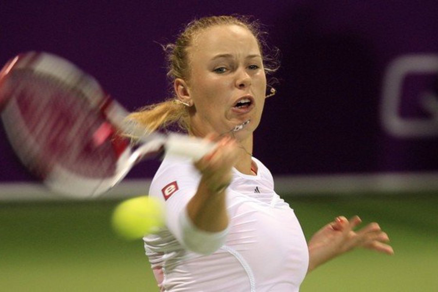 C.Wozniacki nugalėjo Rusijos tenisininkę N.Petrovą.