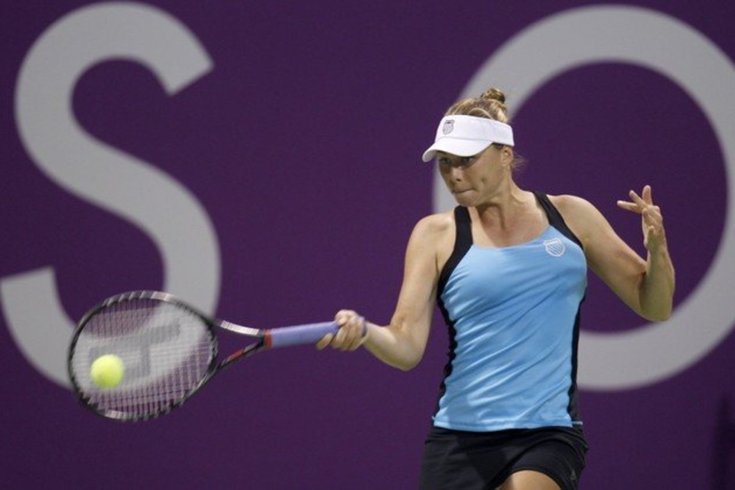 V.Zvonareva kovos finale.