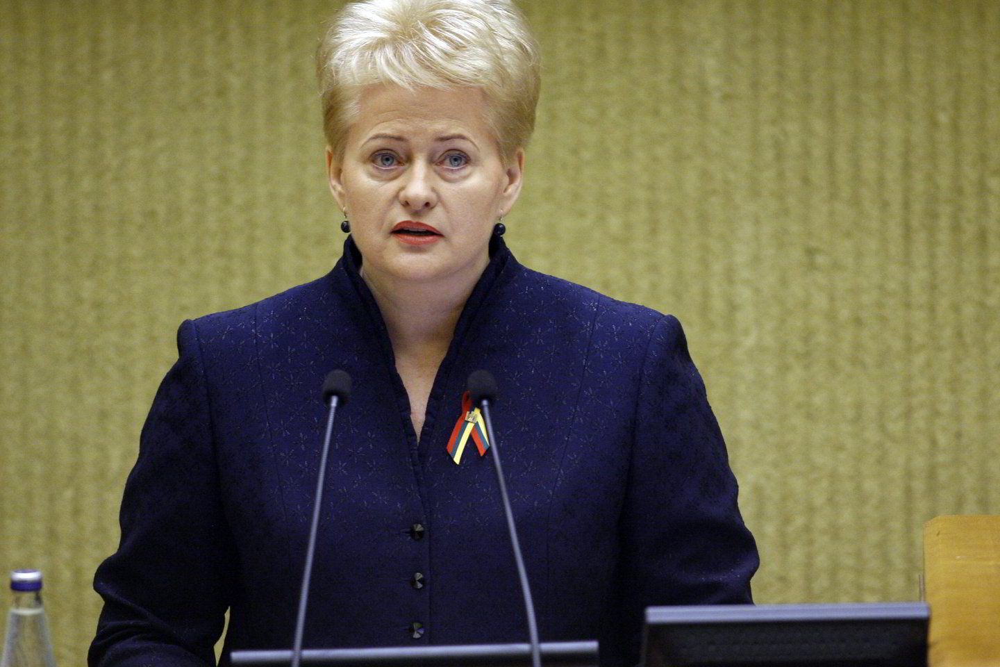 Prezidentė teigia, kad objektyviau vertinti rinkimų rezultatus leis duomenys, gauti iš visuotinio gyventojų surašymo, kuris prasidėjo kovo pirmą dieną.