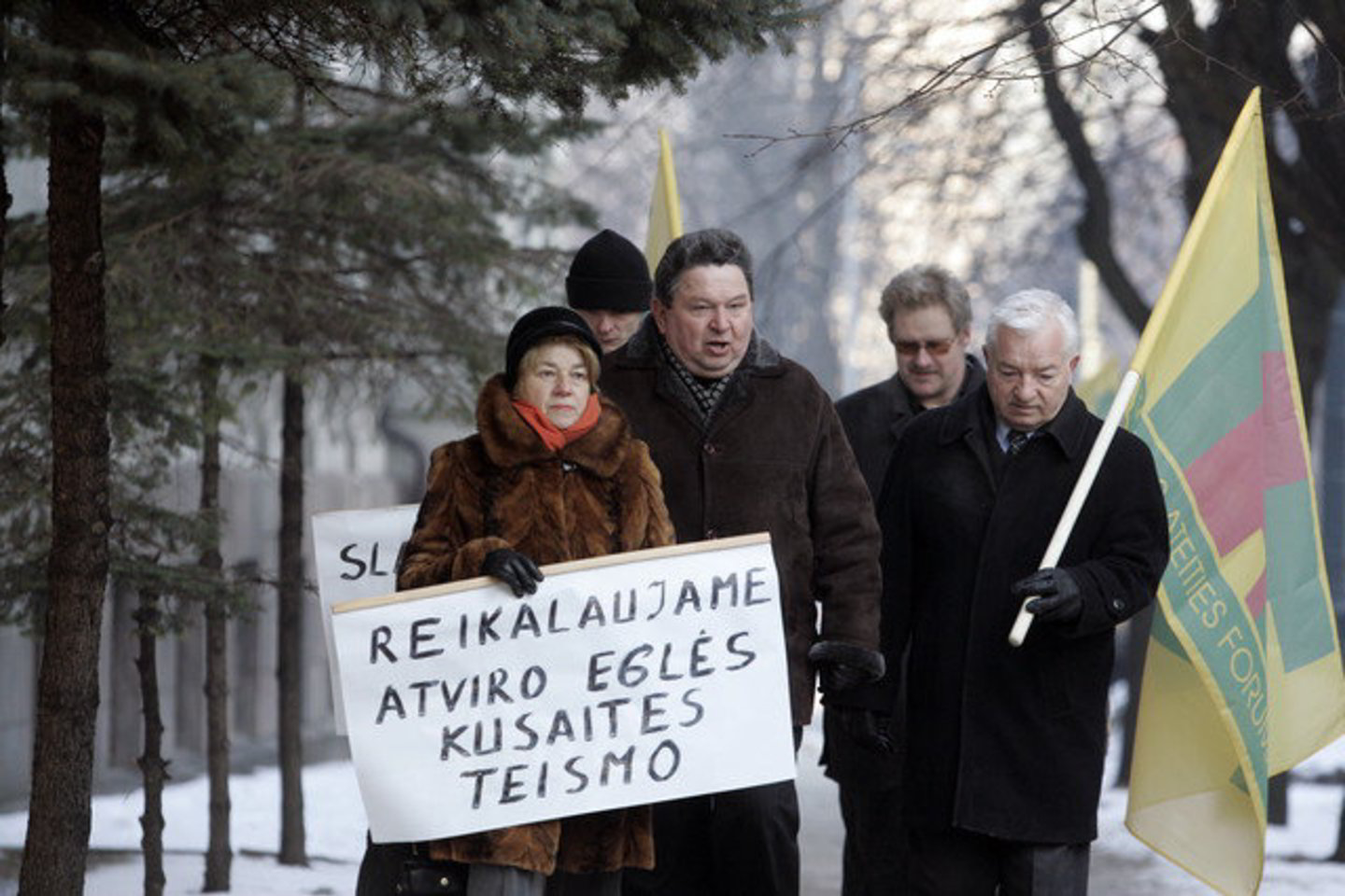 Devyni E.Kusaitės artimieji ir rėmėjai su Lietuvos trispalvėmis, plakatais apie 15 minučių piketavo prie įėjimo į VAT.