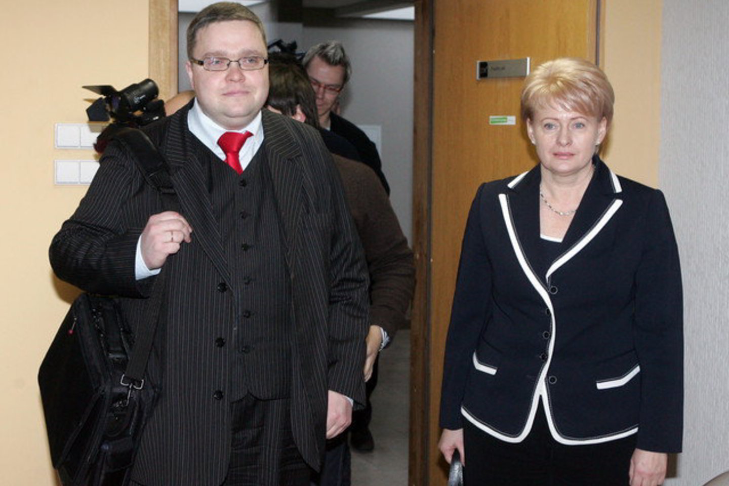V.Vasiliauskas rinkimų į šalies vadovo postą metu buvo ir D. Grybauskaitės rinkimų štabo vadovu.