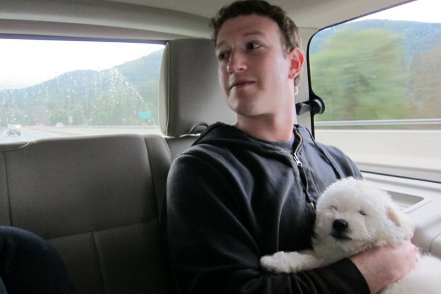 M.Zuckerbergas, „Time“ žurnalo pernai išrinktas Metų žmogumi, dar kartą įrodė išmanąs rinką - mažojo keturkojo asmeninis puslapis jau turi beveik 20 tūkst. gerbėjų.