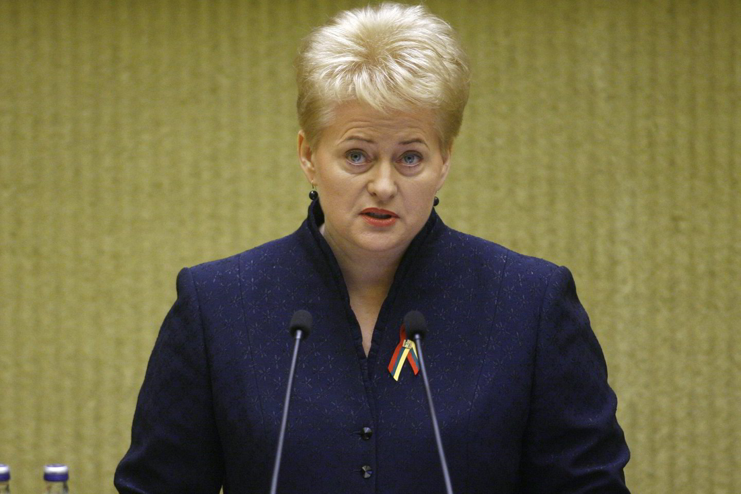 D.Grybauskaitė pasitiki ir A.Sekmoku, ir A.Kubiliumi.