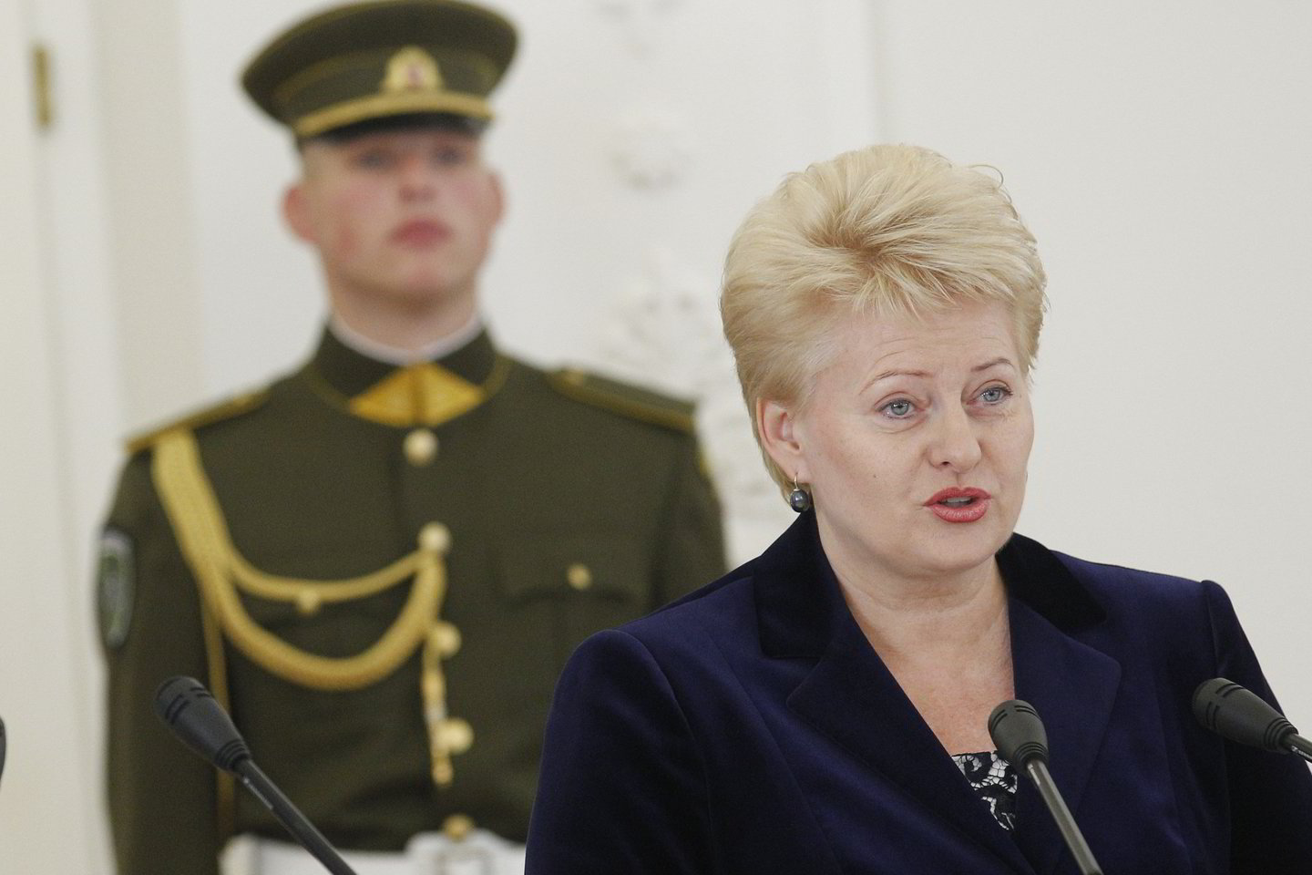 D.Grybauskaitė nepritaria tautinę nesantaiką skatinančioms eitynėms.