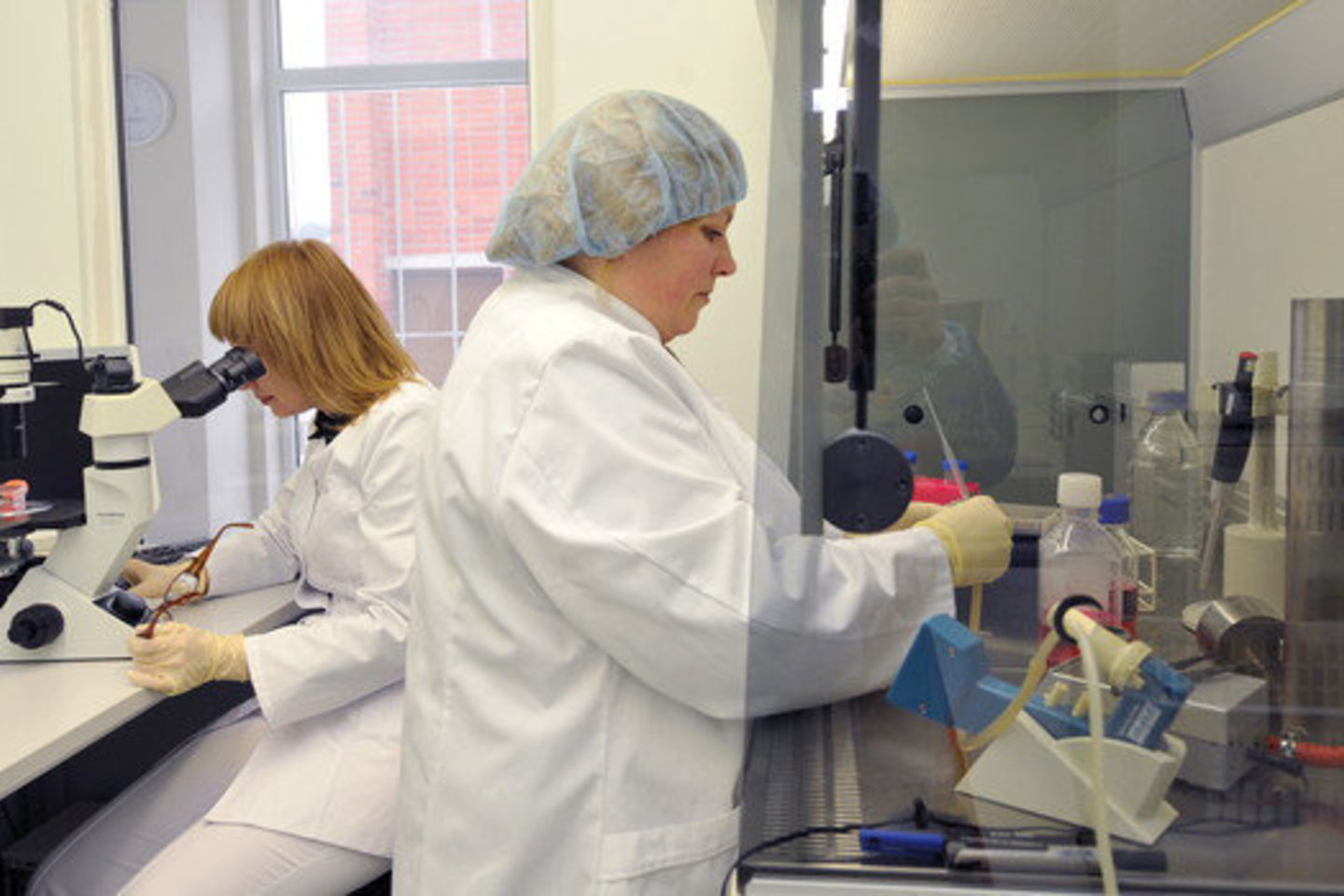 Jaunuoliai galės laboratorijose pamatyti, kaip dirba žmogaus ir medicininės genetikos specialistai.