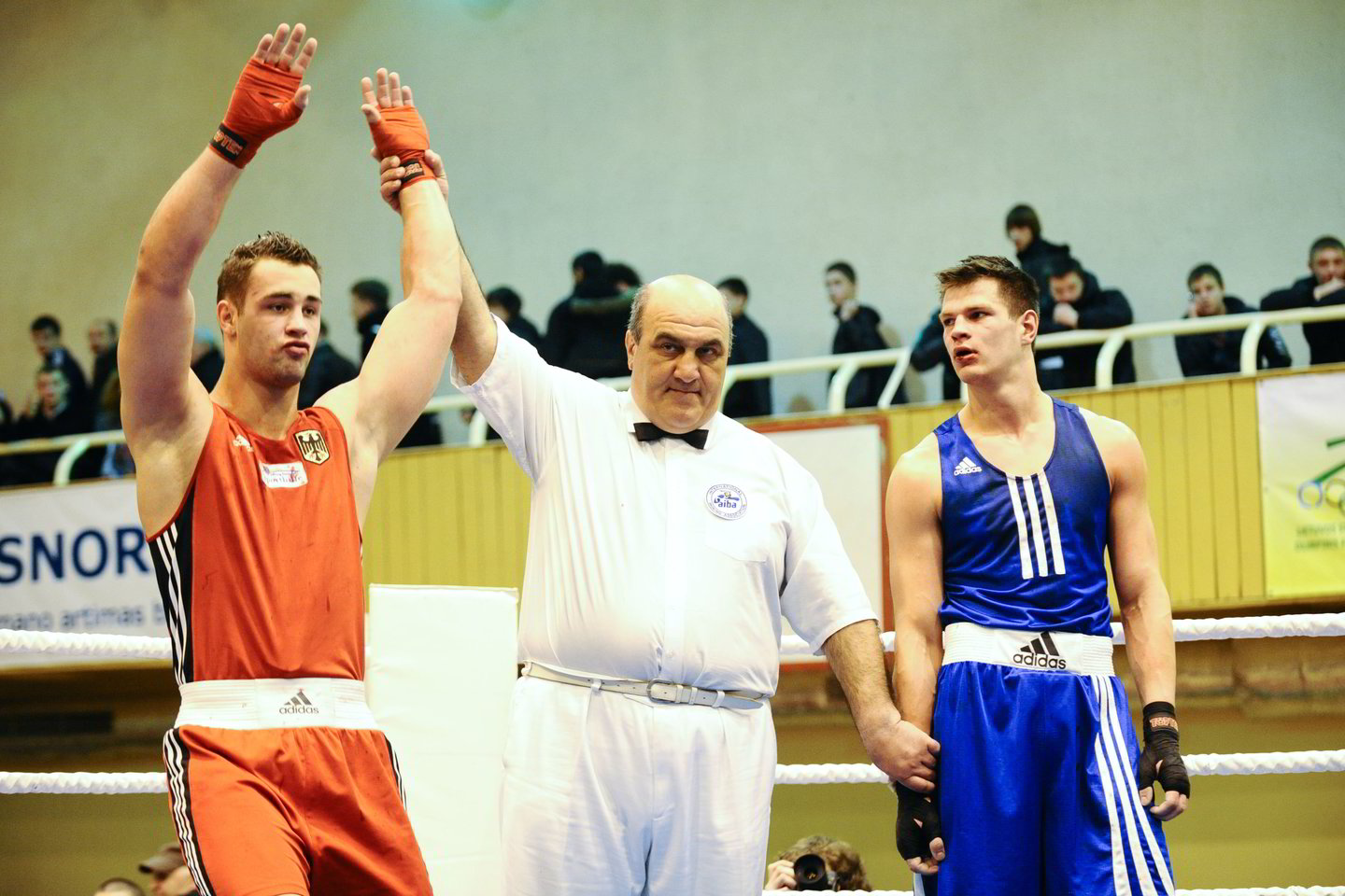 A.Pliadis