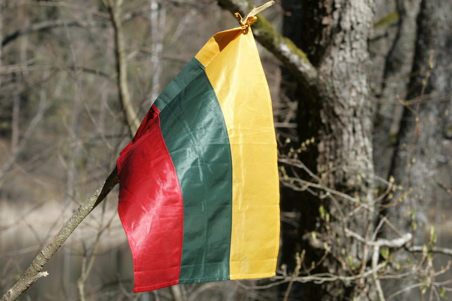 Lietuva iš Baltijos valstybių mažiausiai skundžiama Strasbūro teismui.