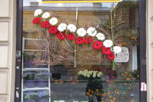 Pokalbiai su varšuviečiais: jaunimas nenori girdėti žodžio “Smolenskas”, vyresnieji nusivylę valdžia (nuotraukos)