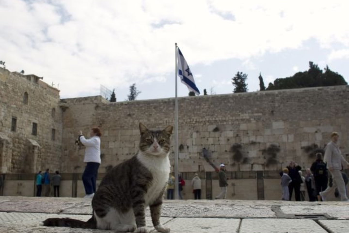 Anksčiau izraeliečiai ir palestiniečiai susitarė, kad būtina iki 2011 metų rugsėjo surasti taikų konflikto sprendimą.