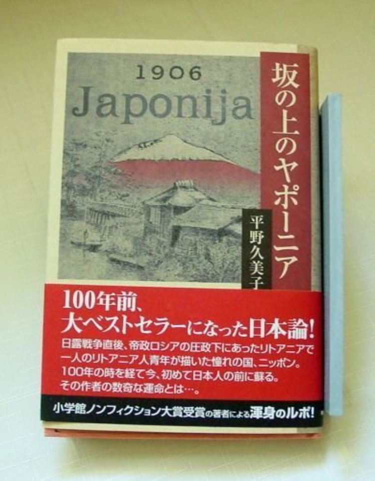 K.Hirano knygoje „Saka-no ue-no Japonija“ S.Kairys pristatomas ne tik kaip japonologas, bet ir kaip vienas iš XX a. pradžios Lietuvos valstybės kūrėjų.