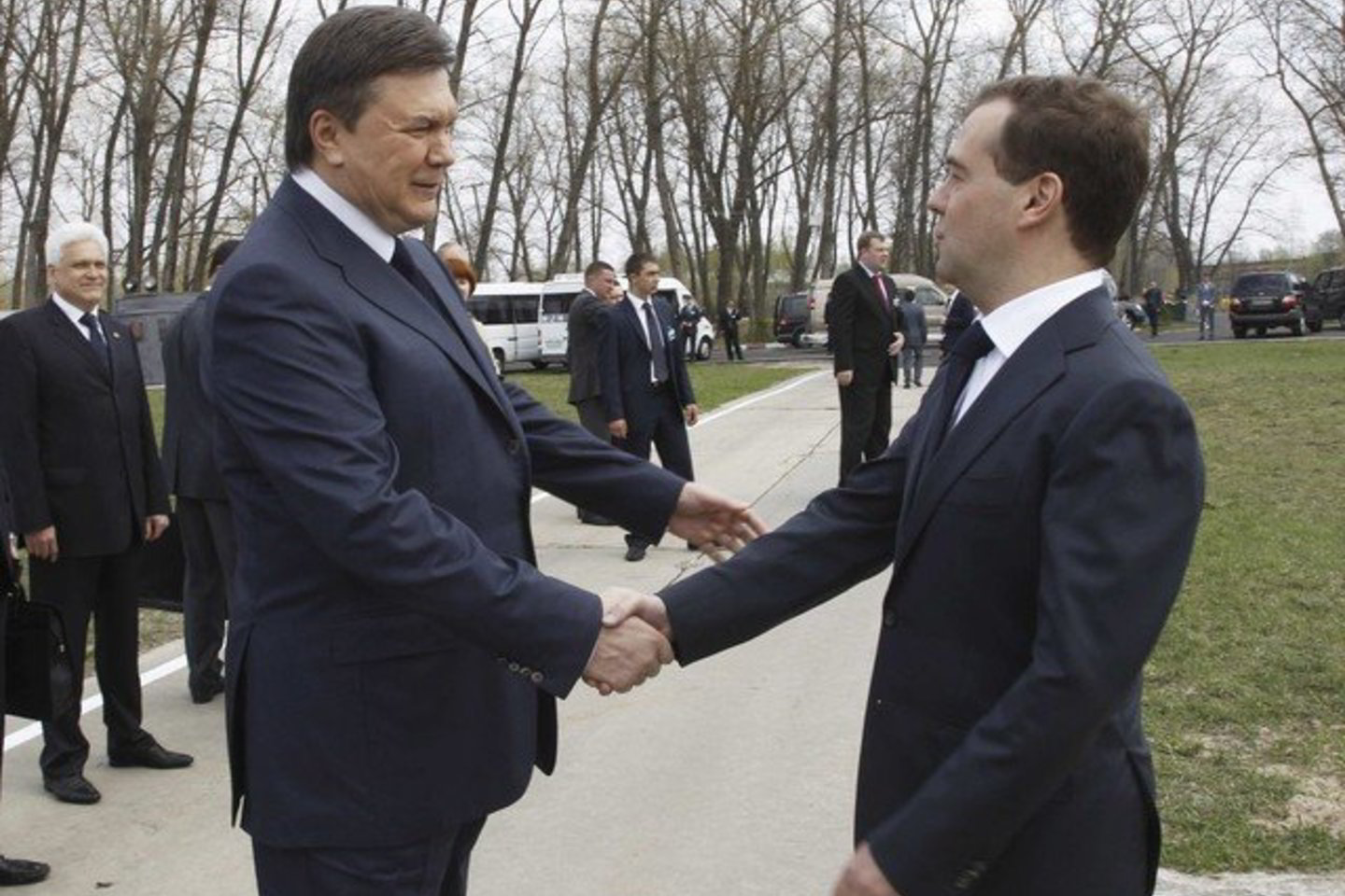 Į renginį atvyko Rusijos prezidentas D.Medvedevas. Svečią sutiko Ukrainos vadovas V.Janukovyčius.