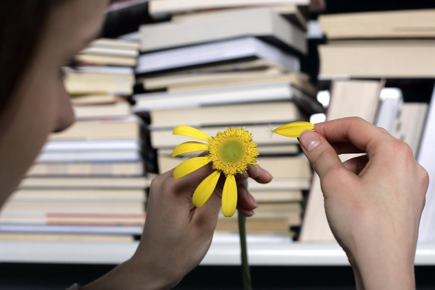 Kokią specialybę, kokias studijas ir kurį universitetą pasirinkti - apie tai dabar galvoja beveik kiekvienas abiturientas.