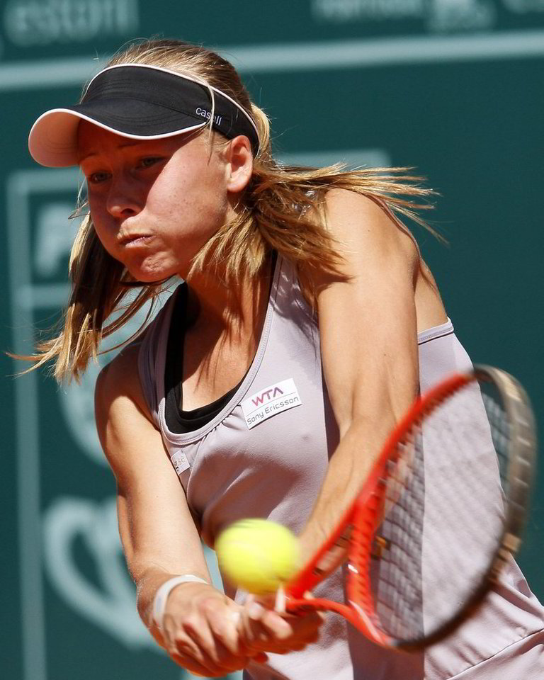 WTA serijos tarptautiniame moterų teniso turnyre prizų fondą sudaro 220 tūkst. JAV dolerių.