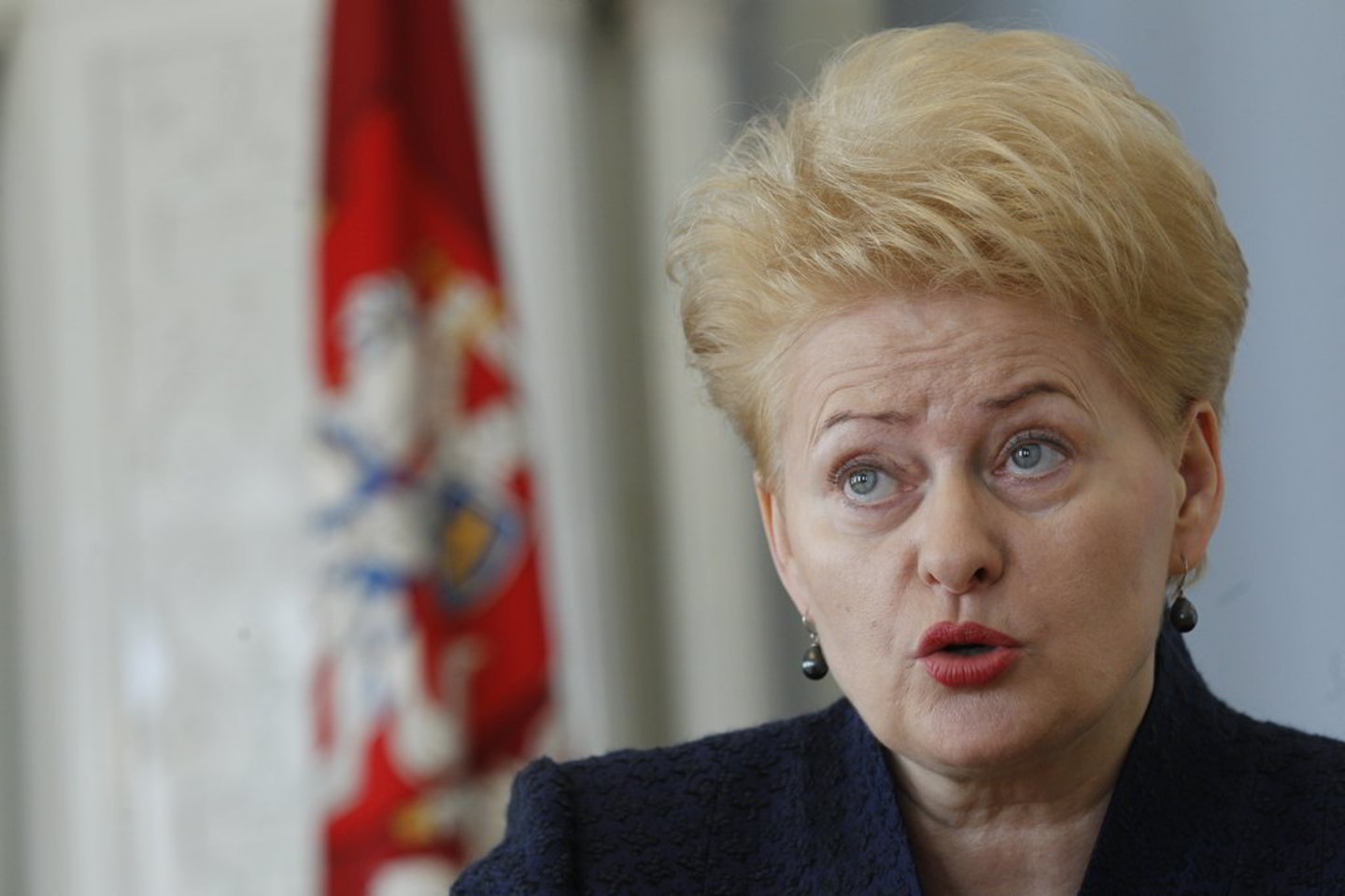 Kas mėnesį į rankas D.Grybauskaitė gauna 9405 litus.