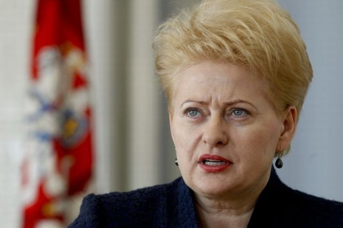 D.Grybauskaitės sprendimu liko nepatenkinti Teisėjų garbės teismo nariai.