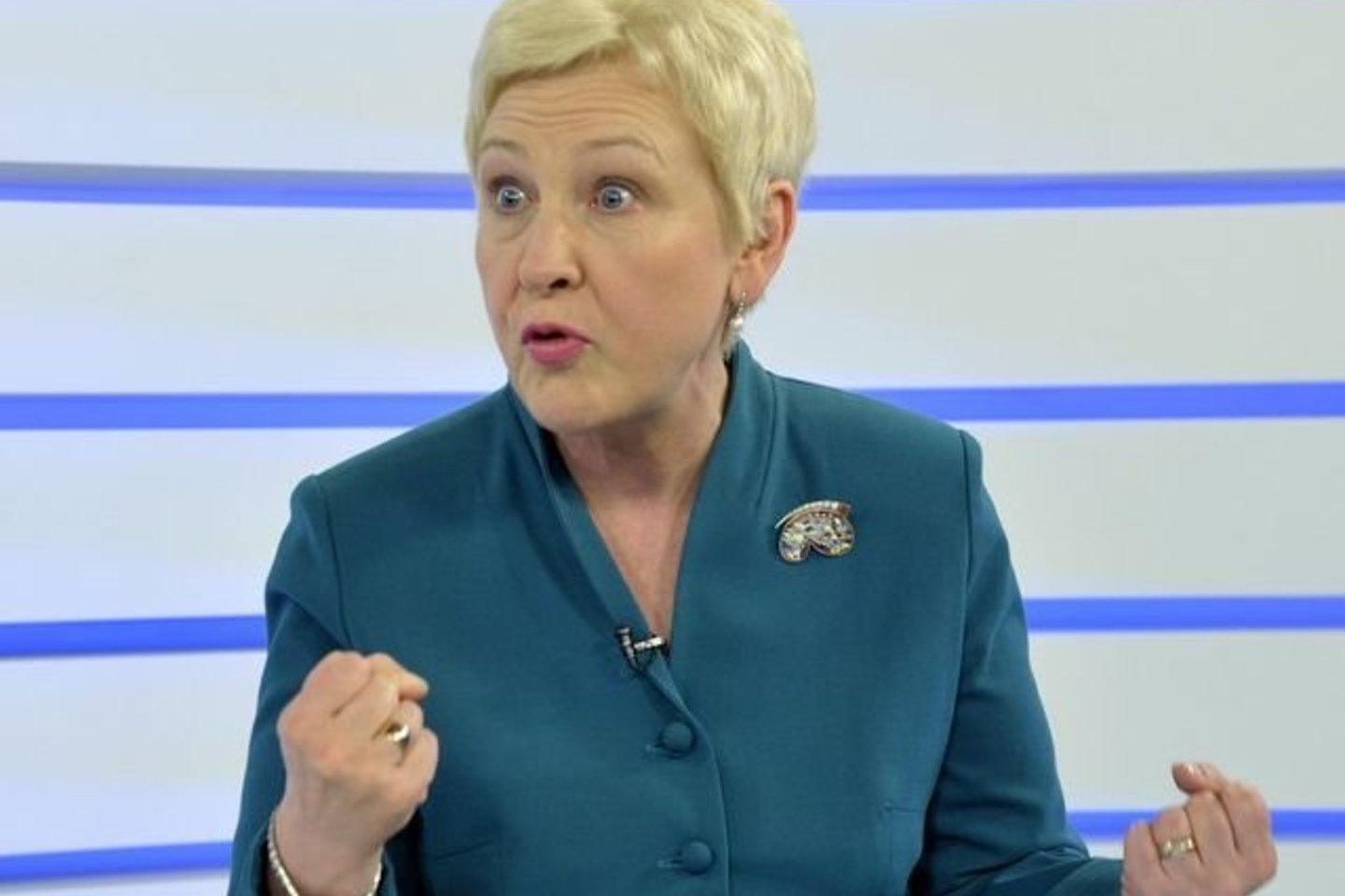 I.Degutienė abejojan Priežiūros komiteto argumentais, kodėl reikėjo G.Songailą pašalinti iš partijos.
