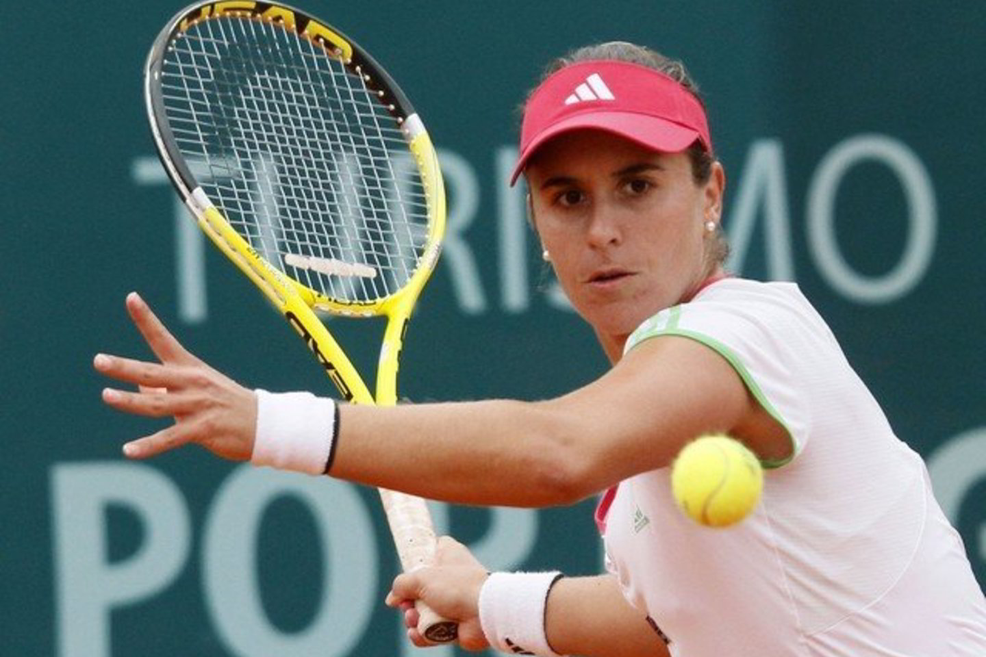 Anabel Medina Garrigues finale žaidė galingai.
