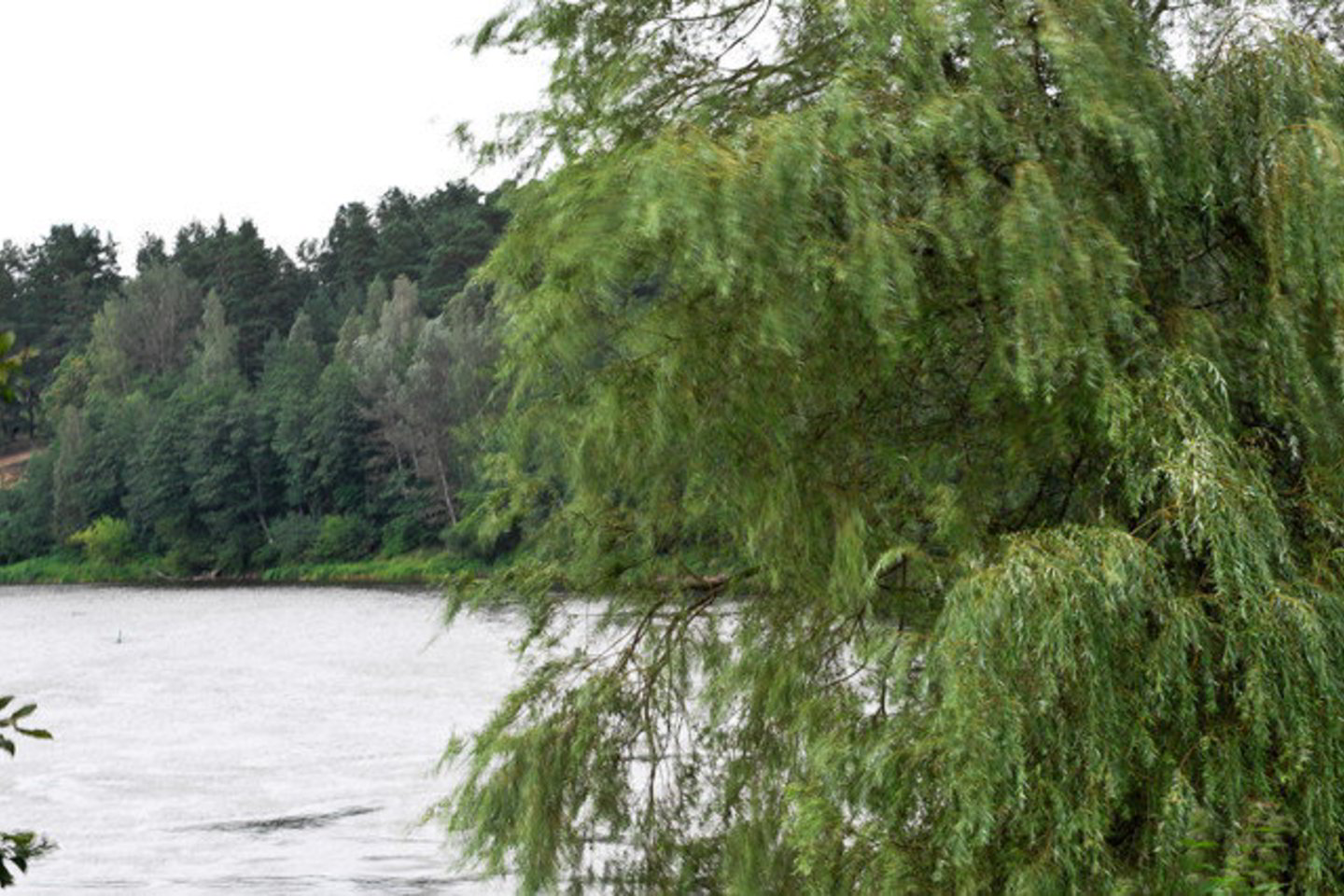 Druskininkų savivaldybė sako neturinti papildomų lėšų.