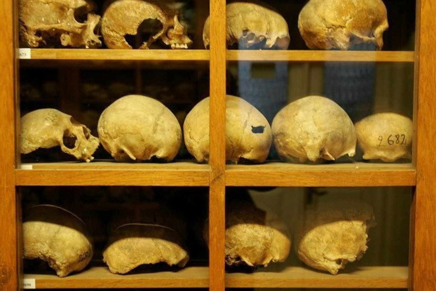 Sovietų epochos profesoriui ir taip aišku, kad jis yra vertas pagarbos, nes yra Lietuvos šviesuolis vien dėl „prof.“ ir “dr.” santrumpų, rašomų greta jo pavardės.