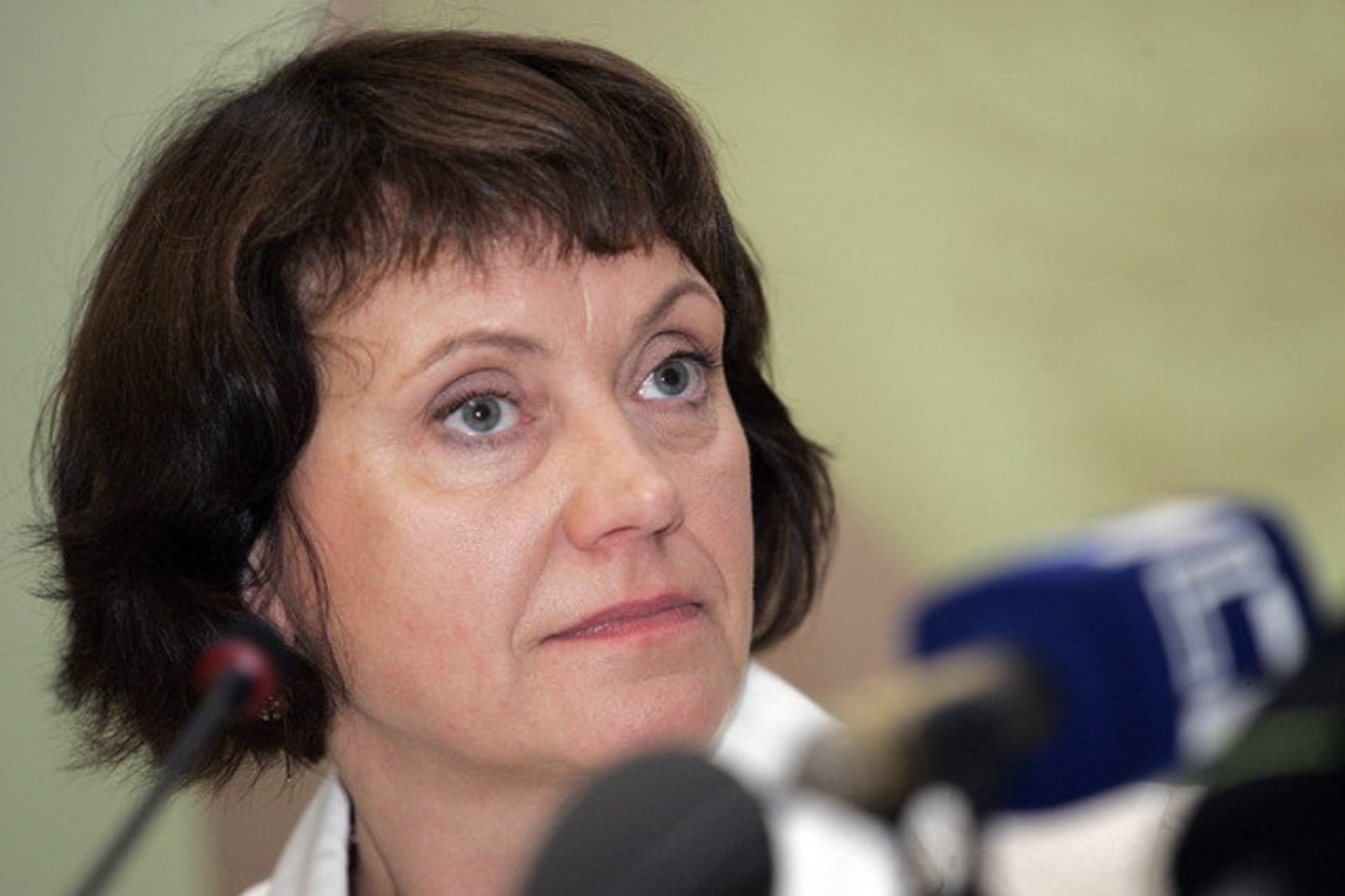 Europos lyčių lygybės instituto direktorė Virginija Langbakk.