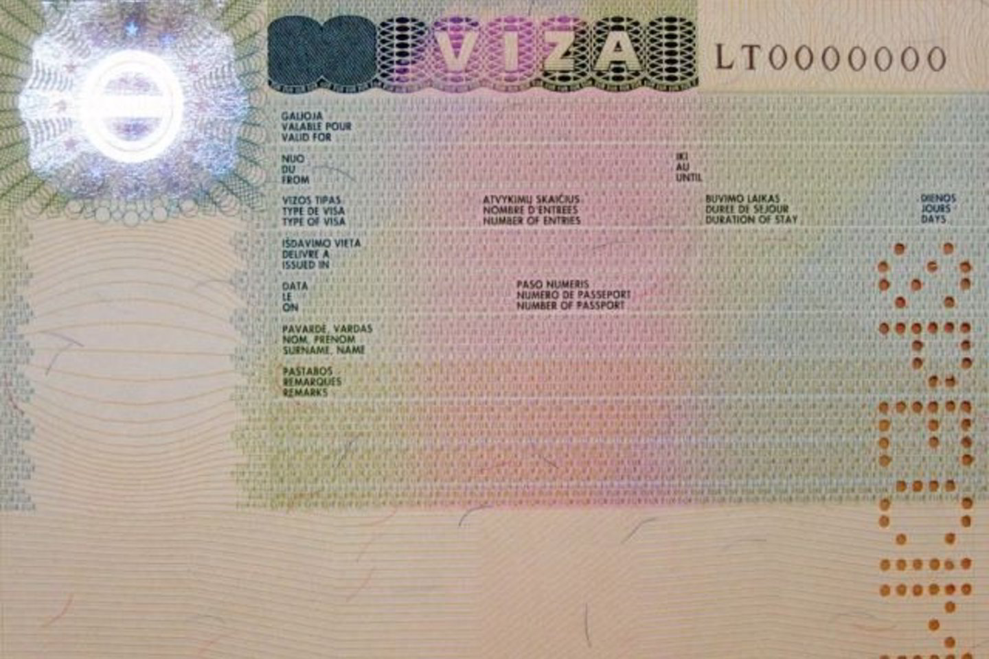 Iš viso šiemet Lietuvos pasieniečiai į šalį neįleido 429 užsieniečių.