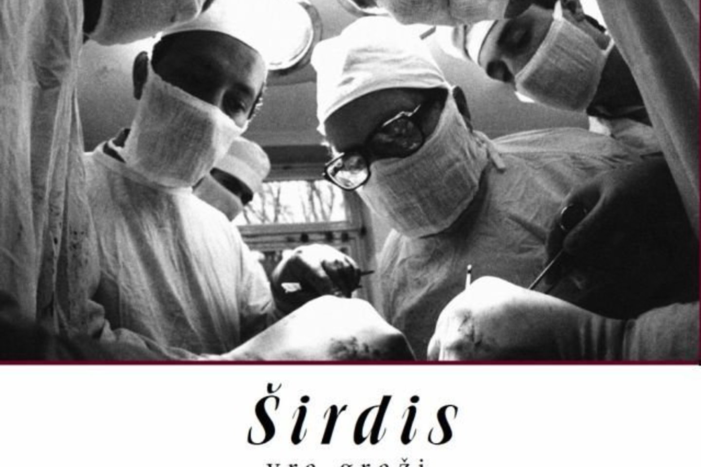 Atsiminimų autoriai yra prof. A.Marcinkevičiaus mokiniai ir bendradarbiai, daugelis jų visą gyvenimą, talentą ir kūrybines galias atidavė vadovo ir mokytojo iškeltam tikslui pasiekti.