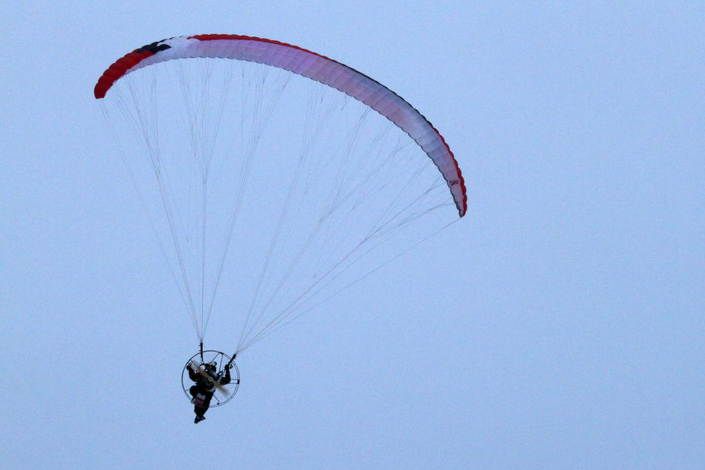 Parasparnis.