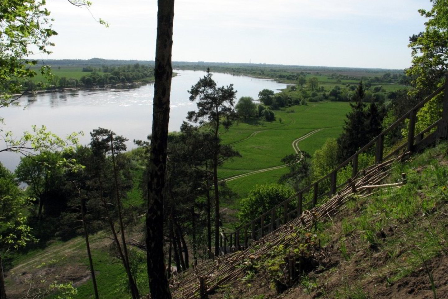 A.Aleksėjūnienė
