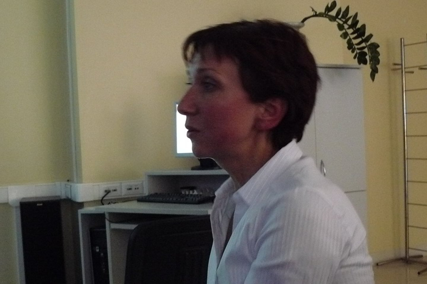 J.Noreikienė