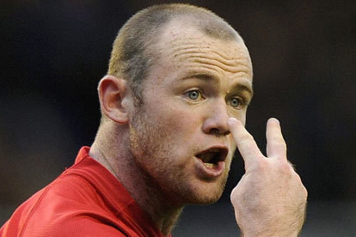 Anglijos „Manchester United“ ekipos puolėjas Wayne'as Rooney apsižodžiavo sirgaliumi per „Twitter“.