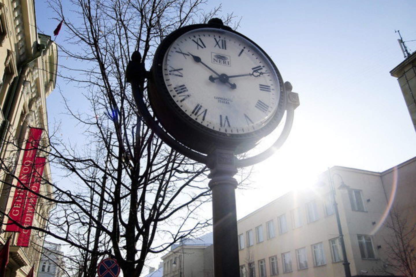 Parlamentarai antradienį priėmė nutarimą, kuriuo Vyriausybei siūloma kreiptis į Europos Komisiją dėl galimybės pakeisti direktyvos nuostatas.