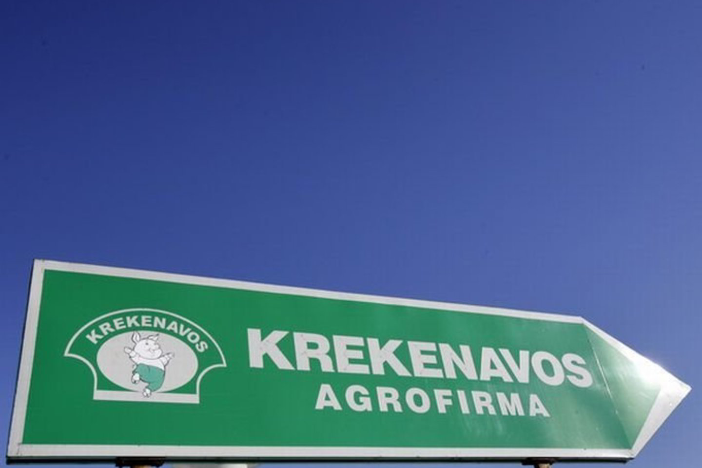Vyras dirba V.Uspaskicho šeimos valdomoje Krekenavos agrofirmoje.