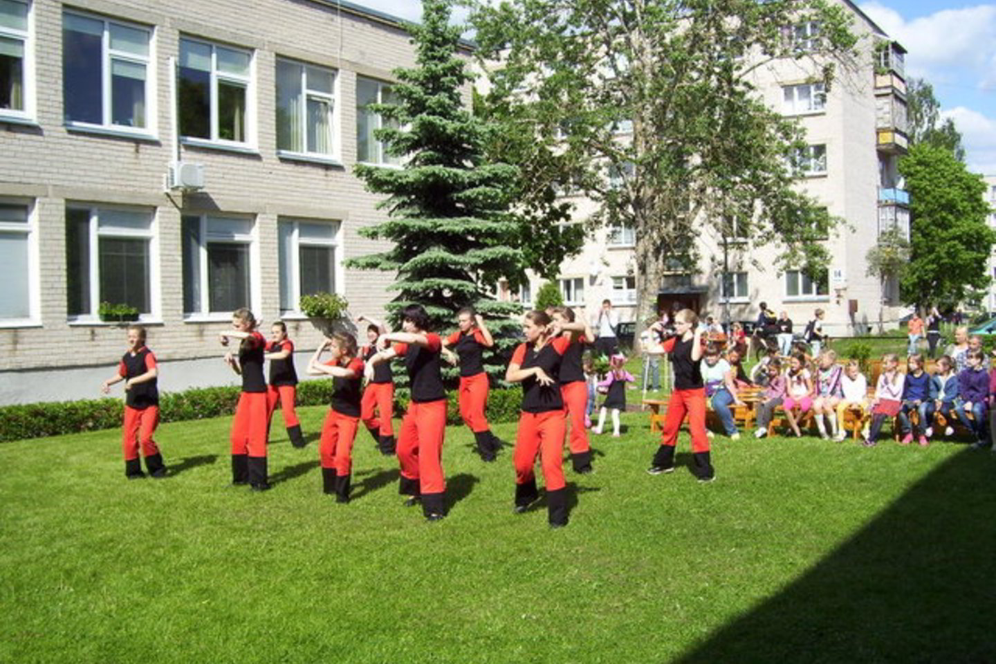 V.Develienė