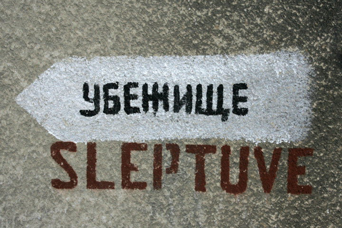 Projekto aiškinamajame rašte rašoma, kad dėl atsisakymo tarnauti okupacinėje kariuomenėje jaunuoliai buvo sovietų armijos atstovų persekiojami beveik visą 1990-1991 metų laikotarpį.