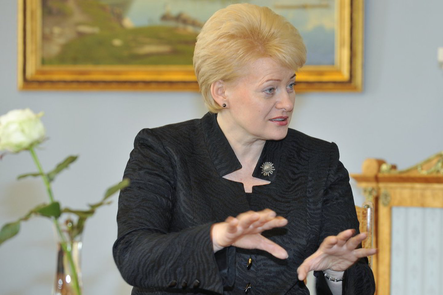 Anot D.Grybauskaitės, Vyriausybės nutarimas dėl kauptinų ir saugotinų duomenų buvo „neprotingas direktyvų perkėlimas į nacionalinę teisę“