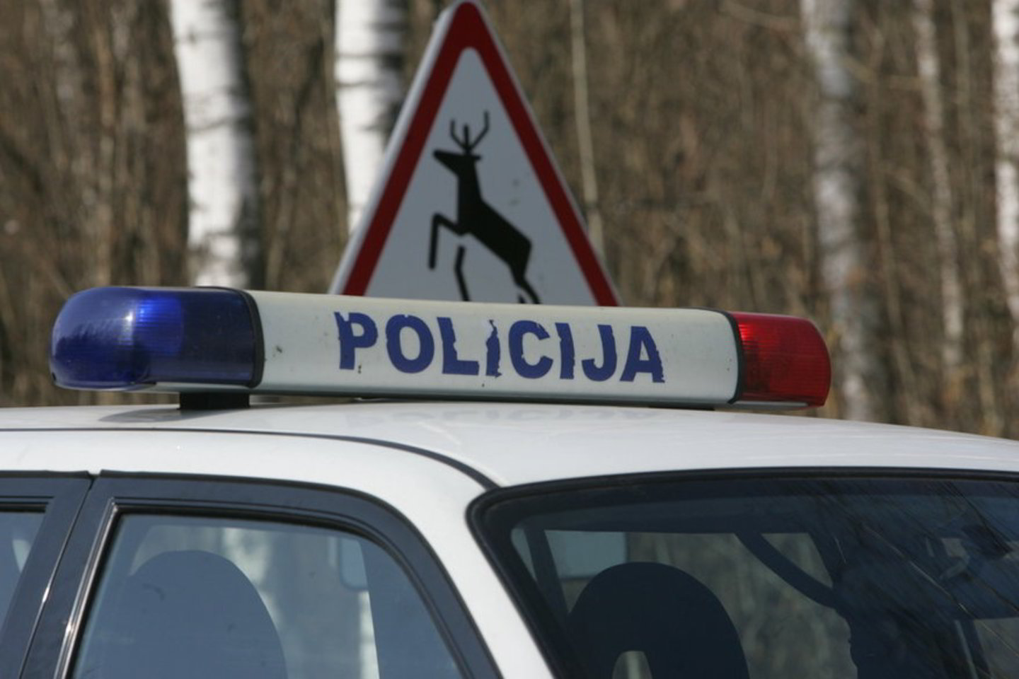 Po ratais žuvo du briedžiai.