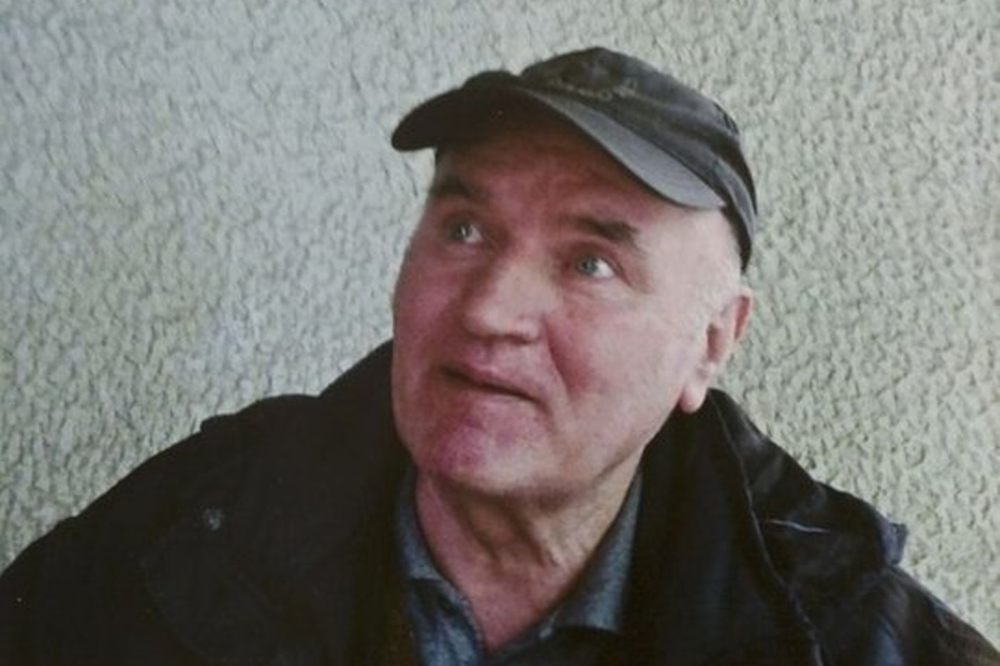 Bosnijos serbų armijos vadas R.Mladičius paguldytas į kalėjimo ligoninę.