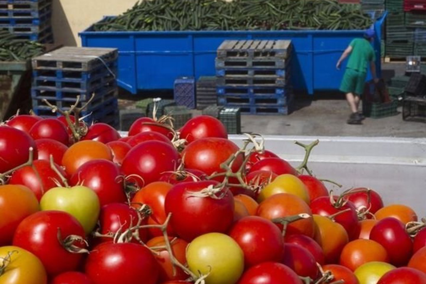 Draudimas importuoti daržoves iš ES susijęs su žarnyno infekcijos protrūkiu ES.