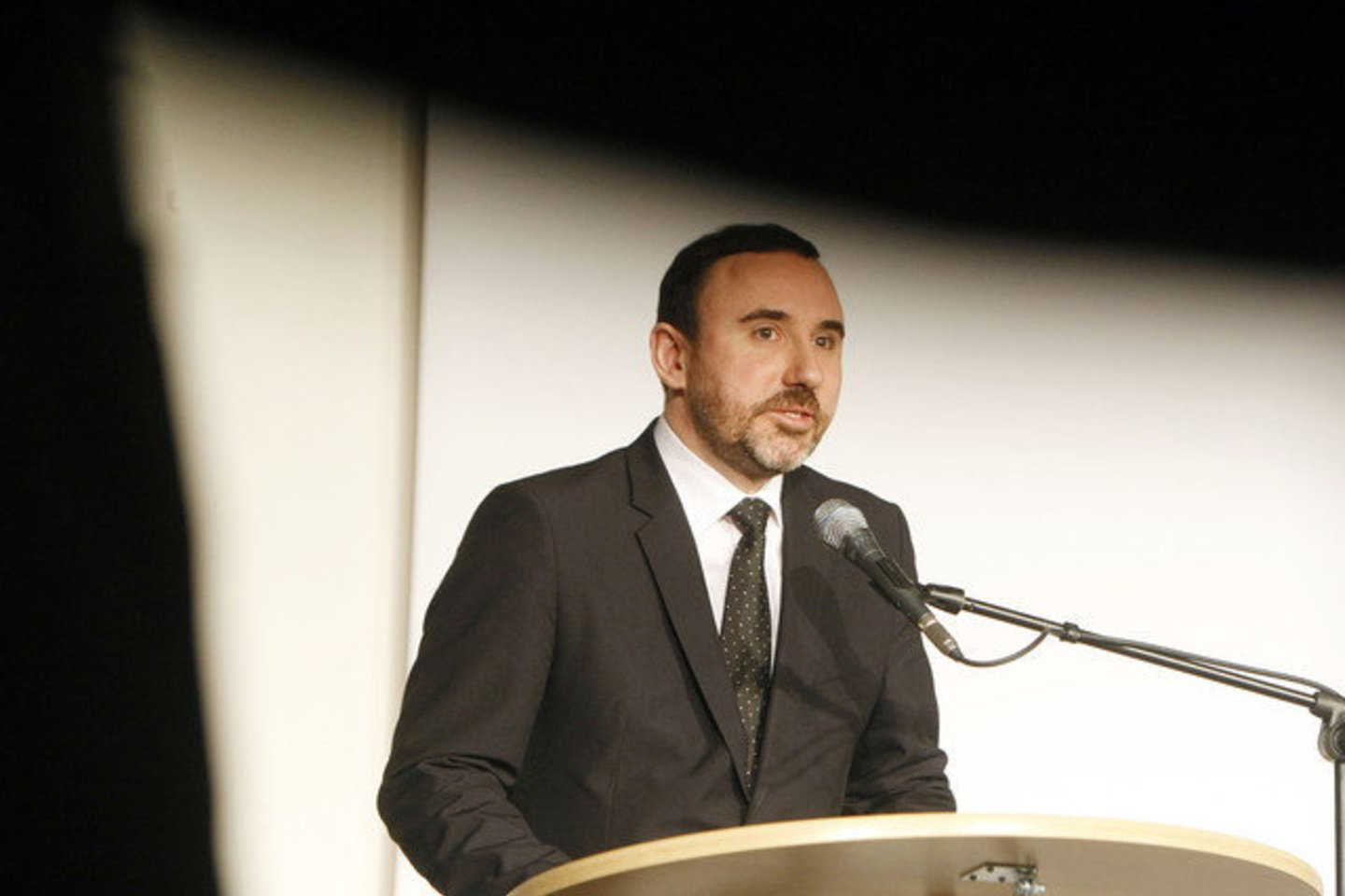 Kultūros ministerijai vadovauja Tautos prisikėlimo partijos deleguotas Arūnas Gelūnas.