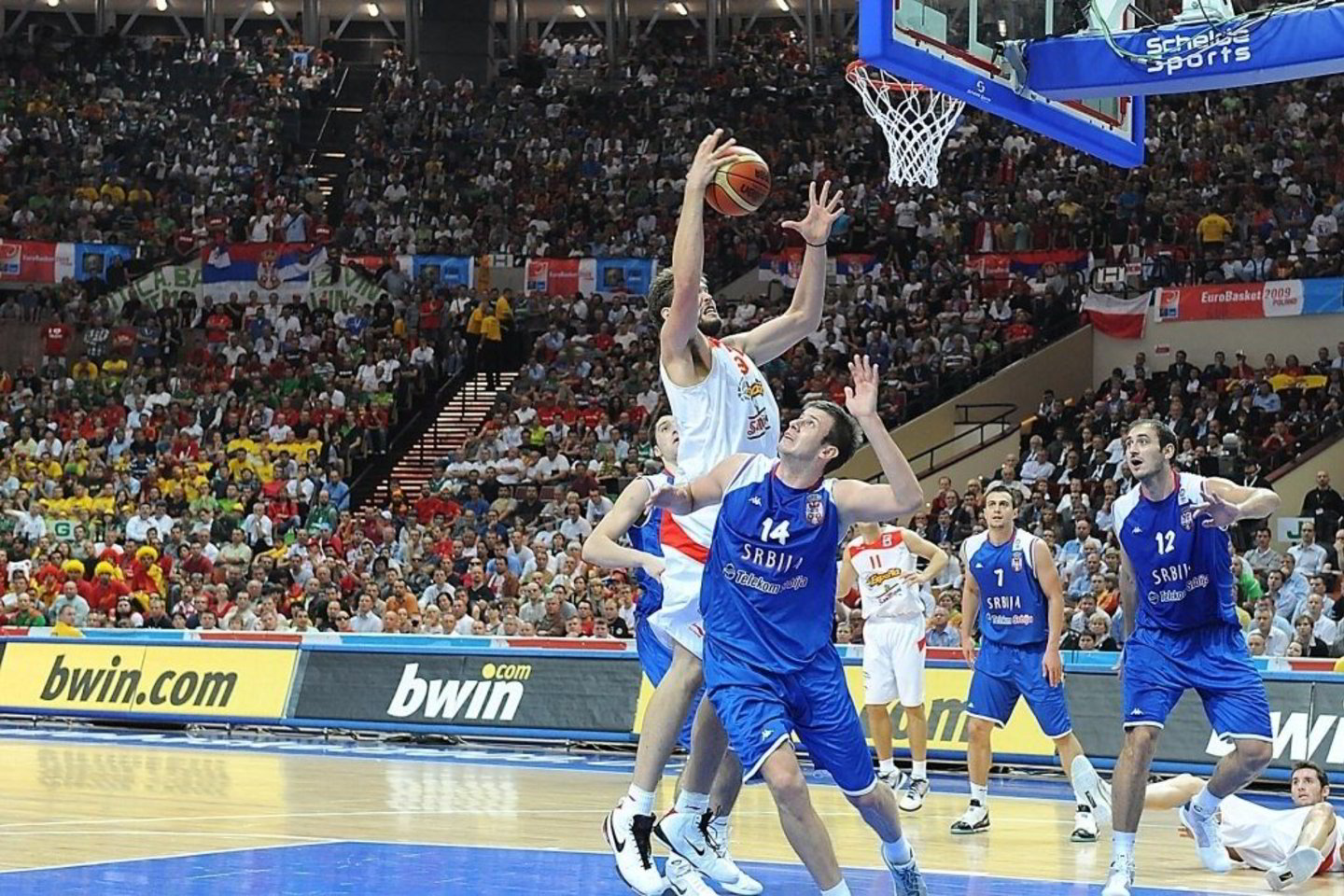 fiba.com
