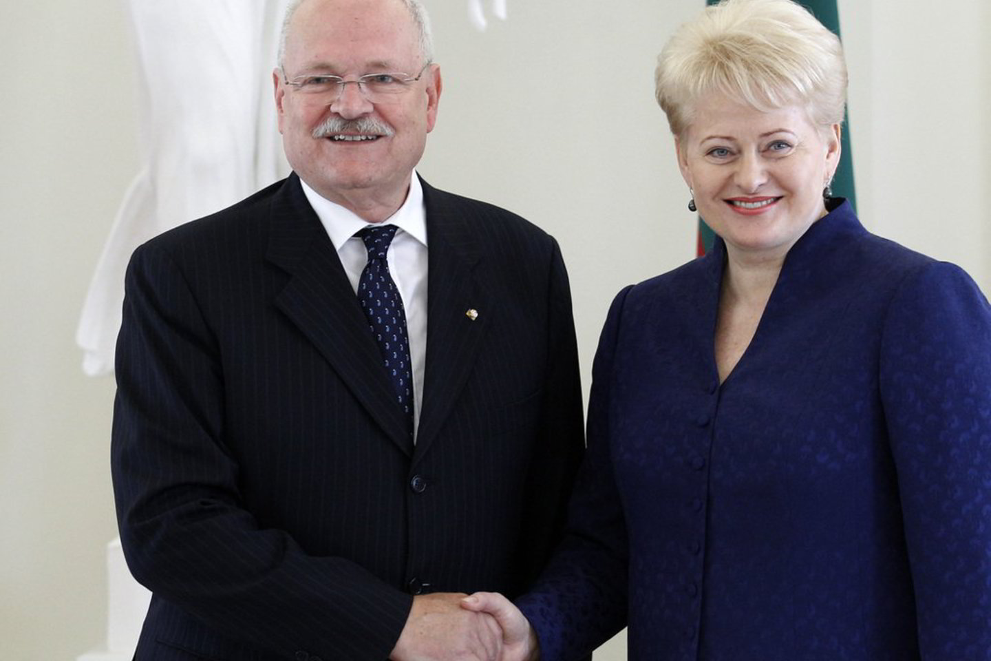 Kad projektas gali būti regioninio masto, D.Grybauskaitė pasakė per spaudos konferenciją su Lietuvoje viešinčiu Slovakijos prezidentu I.Gašparovičiumi.