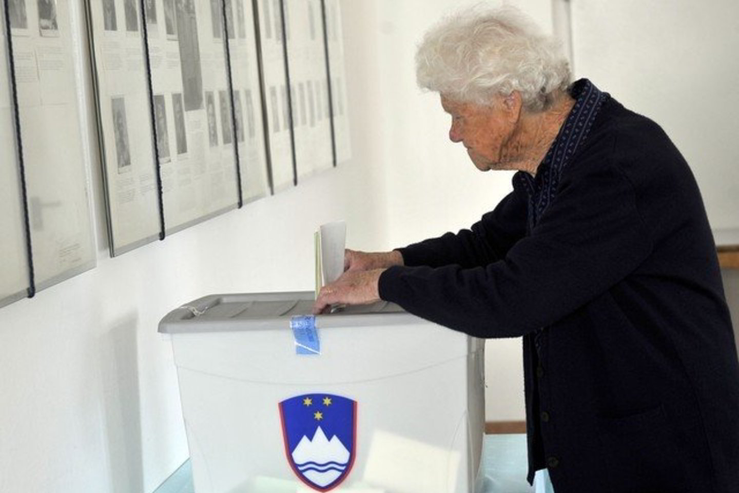 Slovėnai dalyvavo referendume.