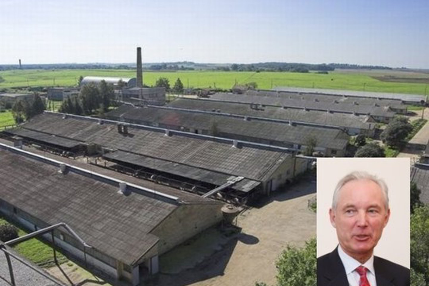 A.Šleževičiui priklausančiame komplekse užaugintos kiaulės vežamos į skerdyklas Lietuvoje arba Rusijoje.