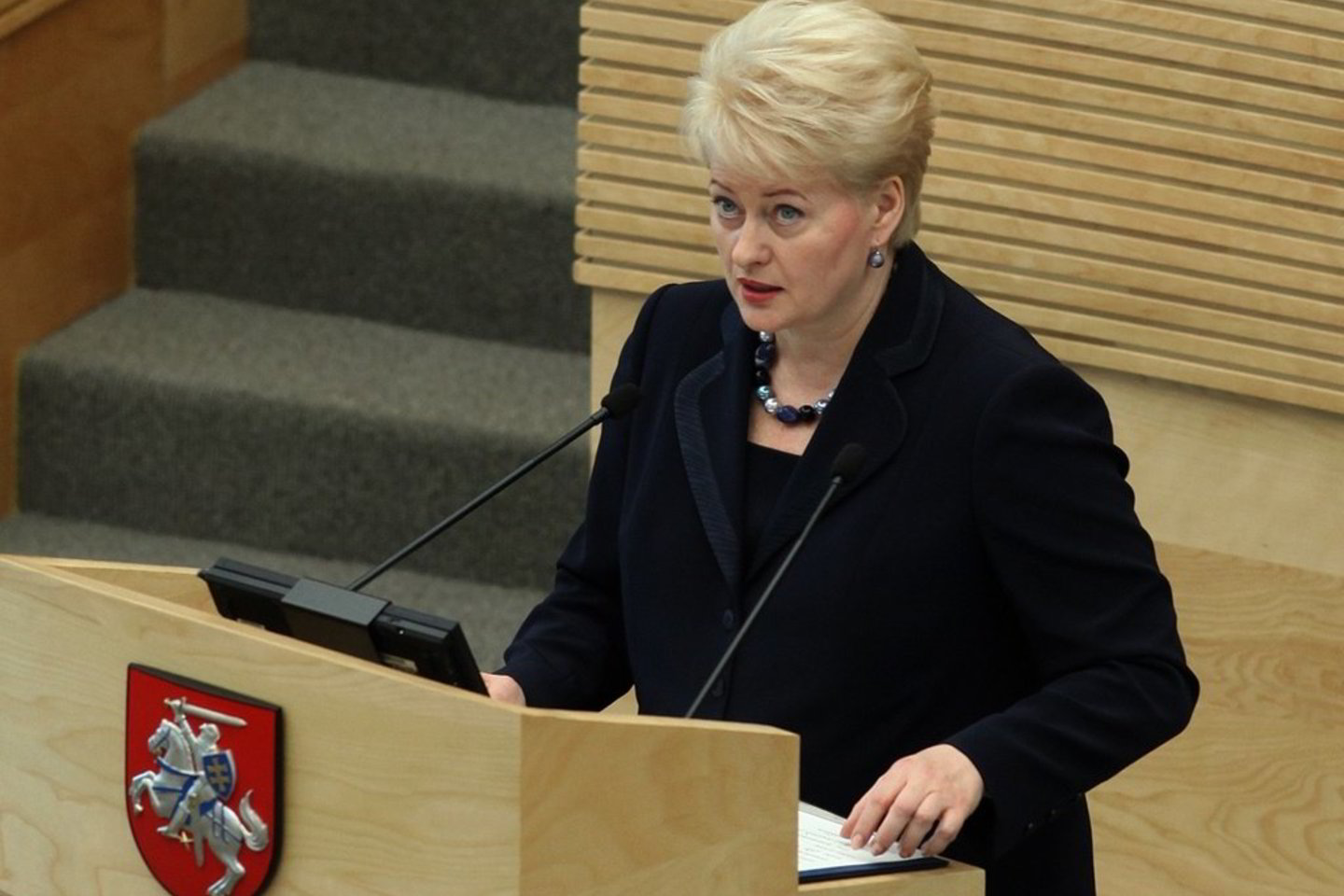 "Socialinė sistema laukia realių reformų, o ne popierinių koncepcijų ar gairių", - metiniame pranešime sakė prezidentė D.Grybauskaitė.