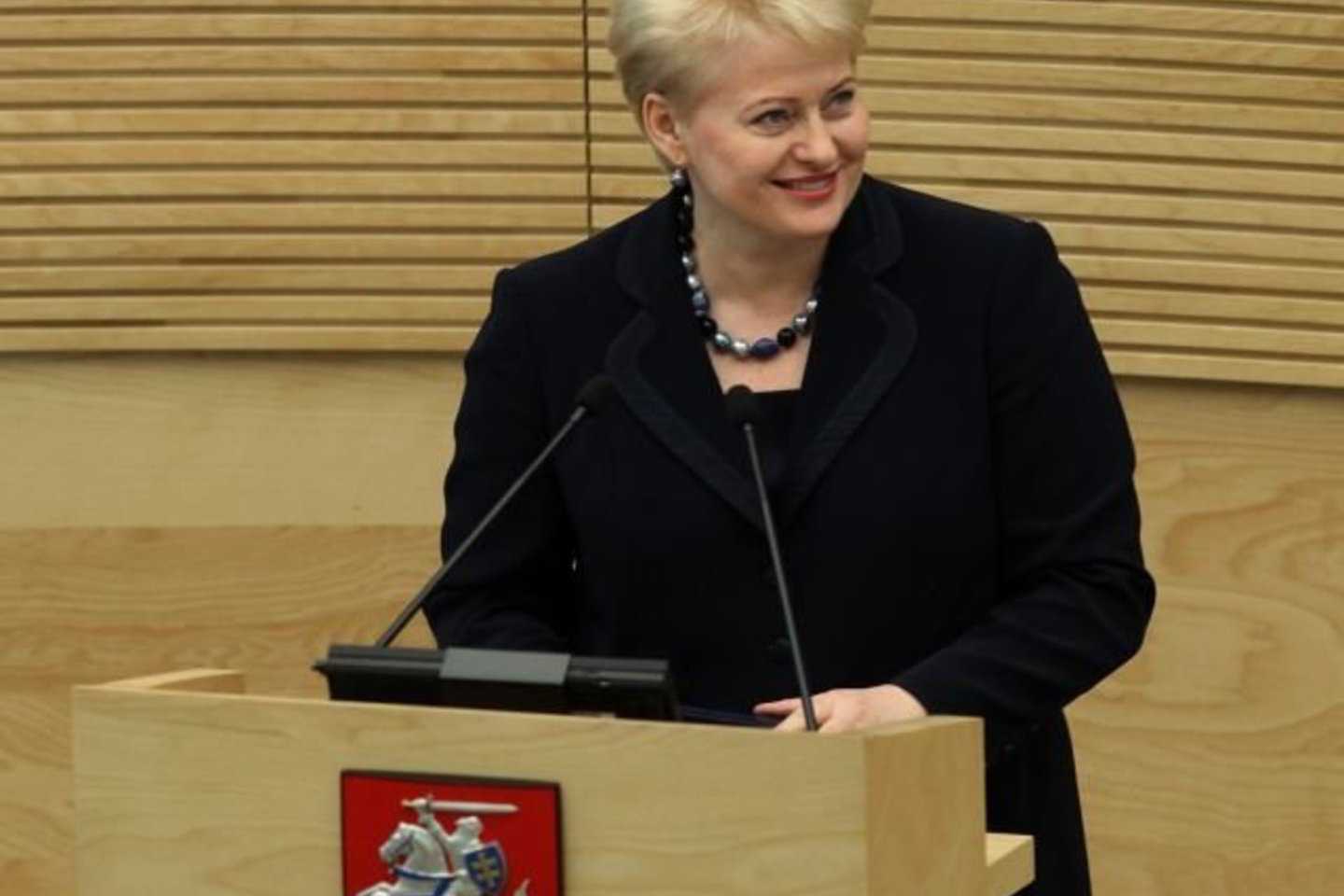 D.Grybauskaitė antradienį skaitė metinį pranešimą.