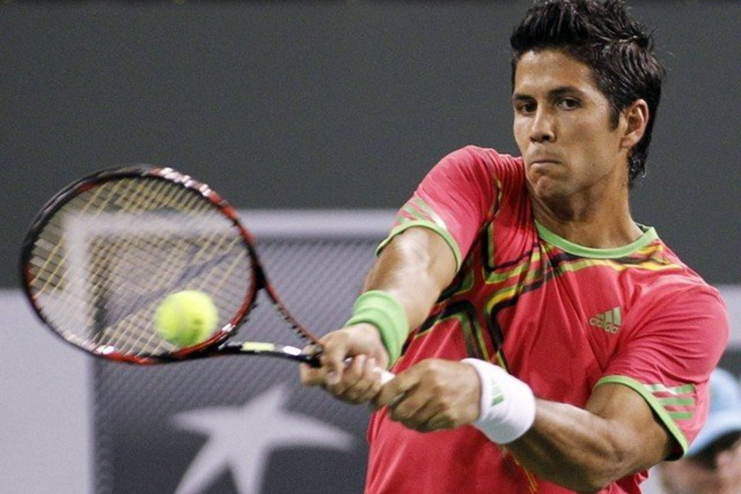 F.Verdasco iškovojo pergalę.
