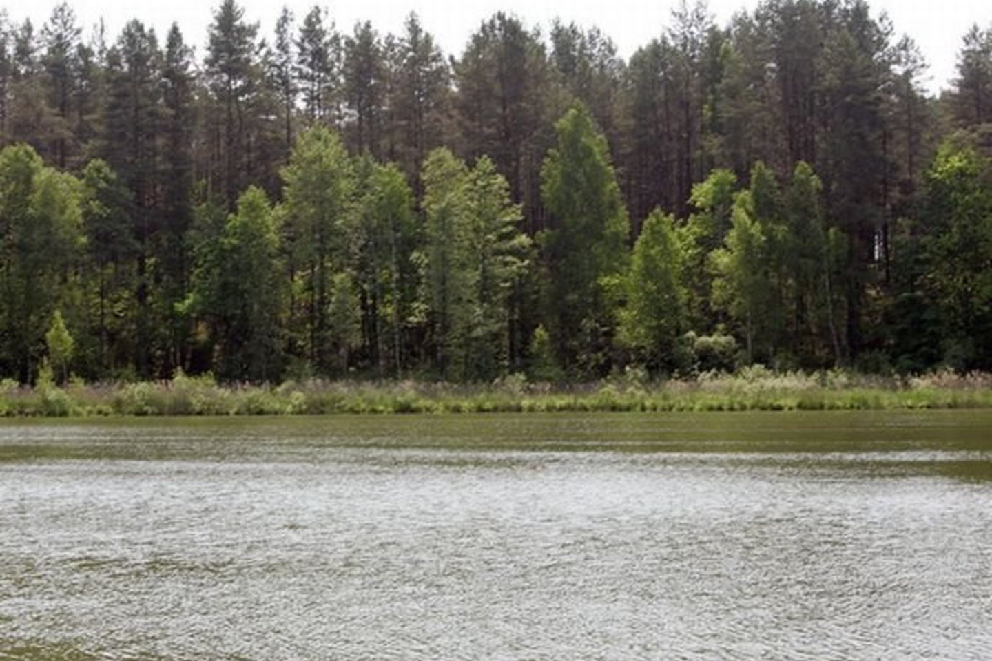 Daugumos kitų tirtų šalies maudyklų ir poilsio zonų vanduo atitiko higienos reikalavimus.